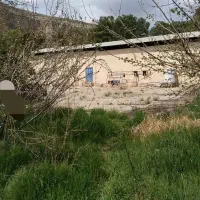 فروش باغ و سوله سیوند سرتنگ خوش|فروش دفتر صنعتی، کشاورزی، تجاری|سیدان, |دیوار