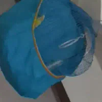 قناری نر بخون