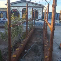 اجرای حرفه ای نمای سیمانی|خدمات پیشه و مهارت|سیرجان, |دیوار