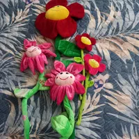 گل های زیبای مخملی
