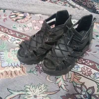 کفش فیلی نو