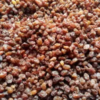 کشمش آفتابی محصول باغ خودمونه|خوردنی و آشامیدنی|قزوین, |دیوار