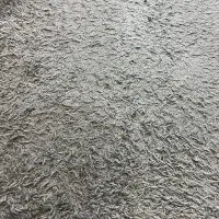 فرش|فرش|رشت, دیانتی|دیوار