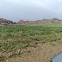 زمین باغی امندی شهریاراقساط۷ماه فاصله تبریز۱۰دقیقه|فروش زمین و ملک کلنگی|تبریز, |دیوار