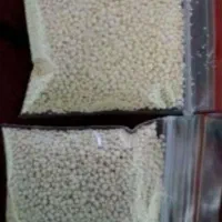 پودر شپش و تخم شپش