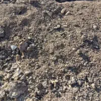 کود گوسفندی