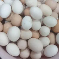 تخممرغ گلین و ریشو