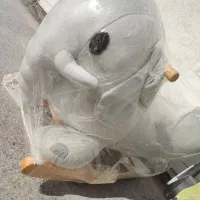 کالسکه|کالسکه و لوازم جانبی|مشهد, کوشش|دیوار