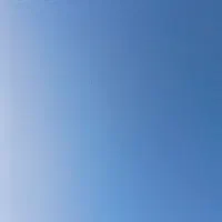 کبوتر پرشی سوسکی ساعتی|پرنده|شاهینشهر, گزبرخوار|دیوار