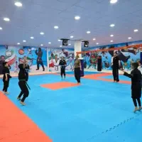 منشی باشگاه|استخدام اداری و مدیریت|شیراز, هفت تنان|دیوار