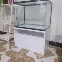 اکواریوم وماهی گلدفیش