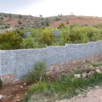 باغ شهری