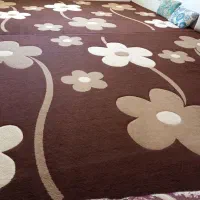 دوعدد دوازده متری|فرش|اشتهارد, |دیوار