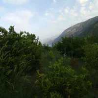 خانه باغ ۵۰۰۰متر