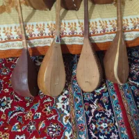 دوتار|سازهای سنتی|تایباد, |دیوار