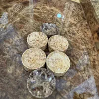 تخته نرد چوب جوش ون هزار ساله تکرارنشدنی|صنایع دستی و سایر لوازم تزئینی|سنندج, |دیوار