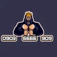 09036666909