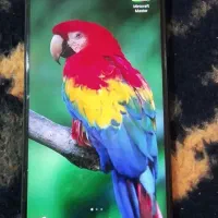 گوشی در حد نو