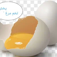 پخش تخم مرغ