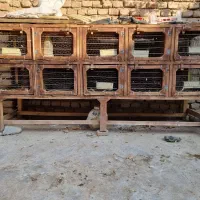 جفت کن ، قفس