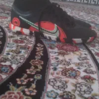 کتونی سالنی نایک