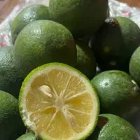 نارنج سبز نوبرانه مازندران