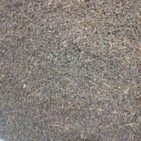 کشمش آفتابی گوشتی درجه یک|خوردنی و آشامیدنی|اصفهان, ارغوانیه|دیوار
