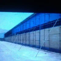 داربست معراج.برادران ساکی.|خدمات پیشه و مهارت|دورود, |دیوار