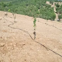 فروش زمین ۱۰۰۰ متری پل زمانخان