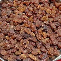 مویز & ممیز|خوردنی و آشامیدنی|سبزوار, گلشن|دیوار