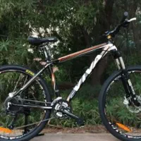 دوچرخه حرفه ای ویوا