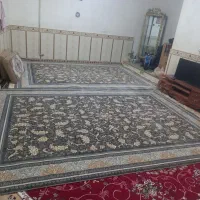 فرش ۹متری|فرش|قرچک, داوود آباد|دیوار