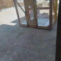 قفس مرغ وخروس بزرگ
