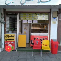 نیروی ساده خانم