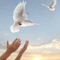 کمپ ترک اعتیاد اجباری