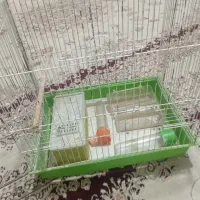 قفس پرنده