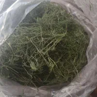 شوید خشک سوپر  عطردار، پاک‌شده و به‌صرفه|خوردنی و آشامیدنی|اصفهان, باغ نگاره|دیوار