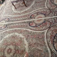 فرش فروشی|فرش|زنجان, |دیوار