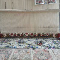 سلام قالی نیمه بافته ب دلیل مشکل مالی