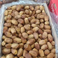 حراج واقعی خرما از کیلو ۱۰۵هزارتومان