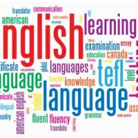 ترجمه متون عمومی و دانشجویی (انگلیسی به فارسی ..)