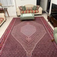 فرش دستباف|فرش|سنندج, |دیوار