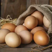 تخم مرغ محلی و تازه