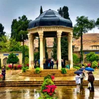 تور گروهی شیراز/ آخرین اجرا