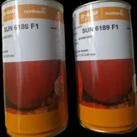 فروش تعدادی بذر گوجه زیر قیمت