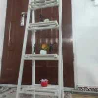 شلف گل و کتاب