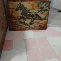 هر عکس فقط و فقط ۸۰|لباس|رشت, شهرک صبا|دیوار