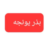 بذر یونجه  درجه یک