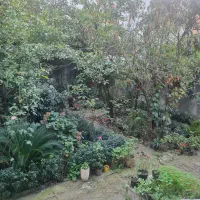 رفیق همیشگی(رهن ویلایی)|اجارهٔ خانه و ویلا|رشت, شالکو|دیوار