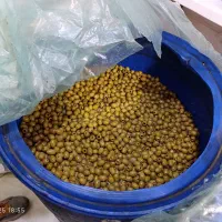 زیتون|عمدهفروشی|تبریز, |دیوار